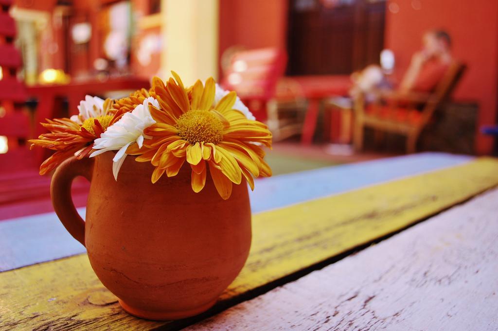 Jaguar House Hostel โกชาบัมบา ภายนอก รูปภาพ